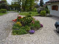 Front of house - view down the lane in Spring