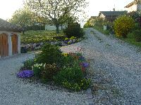 Front of house - view up the lane in Spring